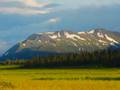 Voices of the Sacred Headwaters