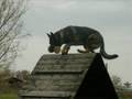 foxi
