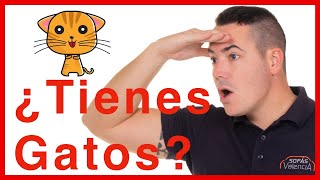 Tela Garfield anti arañazos 