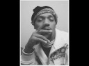 LL Cool J, DMX, Redman, Master P, Method Man 4,3,2,1 - SP1200 remix