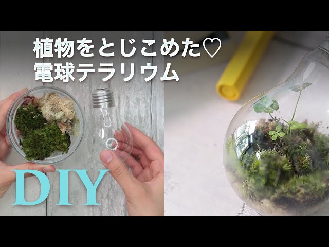 *電球テラリウムが可愛すぎる*保存版DIY×グリーンアイデア