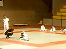 KI SHIN TAI JUTSU LUMINY THEAU MAI 2008 KI SHIN TAI JUTSU LUMINY THEAU MAI 2008