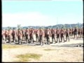 Toros do Curso de Pára-quedismo