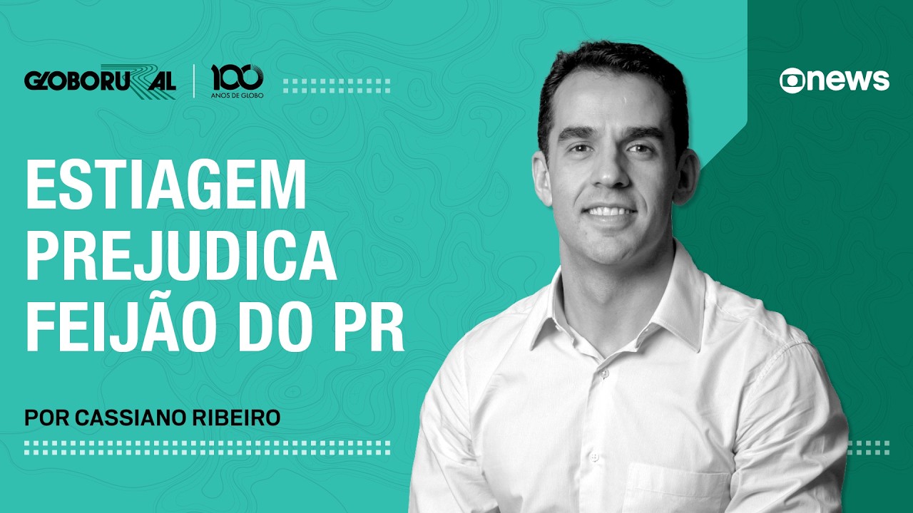 Estiagem prejudica feijão do Paraná | Globo Rural