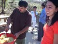 cooking plov(osh)