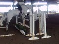Look no hands!