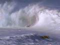 Island Fever-Waimea Shorebreak