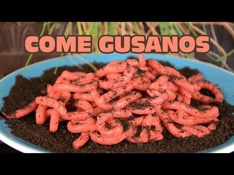 Imagen de previsualización de YouTube