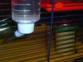 videos de elven and his foot umm food routine