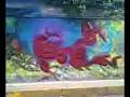 graffiti EASK FTC