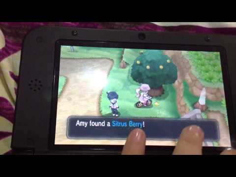 how to obtain a thunderstone in pokemon y