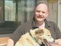 Lost Dog Finds Hospital