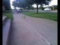 giant hares