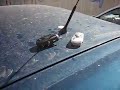almera de JBL temblando almera de JBL temblando