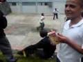 CONALEP ALVARO OBREGON 2 MULETAS TIRA HUEVOS