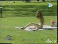 Four legged bikini thief.flv Four legged bikini thief.flv