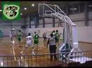 Gentile basket 2