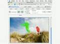 FotoFlexer Smart Resize Demo