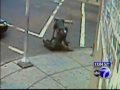 See my new video here. vids.myspace.com Below is a link to a site where a group of NYPD cops are plotting to kill me so I can no longer share the truth about police corruption with you. theerant.yuku.com Yet another police beating where a cop will be cleared of all wrong doing despite overwhelming proof he assaulted a civilian for no reason. Violence towards blacks and Latinos is part of police procedure based on what I have seen time and time again.