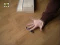 Fingerboard tricktip - whoo hoo