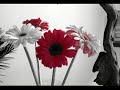 Password - Ludovico Einaudi Password - Ludovico Einaudi