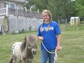 Where You Are Barn Girls Where You Are Barn Girls