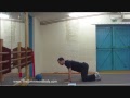 Core - Phase 2 - Session 3 of 3 - The Swimmers Body