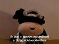Koetje boe ontvoerd