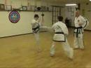 GTF Taekwon-Do Technical Free Sparring Match #2