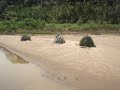 03 Avistamiento de indigenas no contactados en PERU