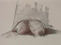 04_ DIBUJO y PINTURA /Curso/ Practicas degradado y difuminad