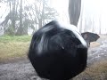 michael basins retarded vid michael basins retarded vid