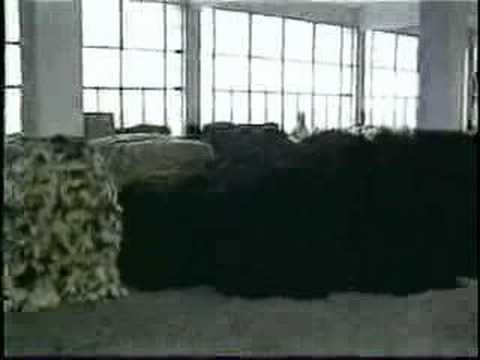 Silent Screams: Dogs and Cats of the ...