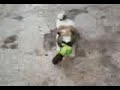 Mel brincando.mp4