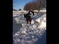 Jace in the snow