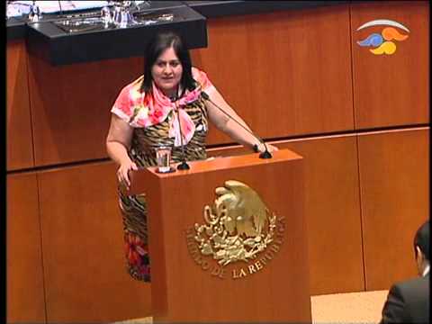 Ver Video