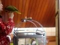 rocki y noa