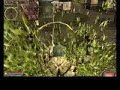 robo nobori2 in DDO