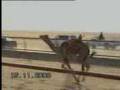 امثال بنت النشمي ( ملك سعود الفهادي