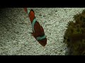 SANY0044.MP4
