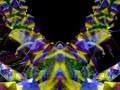 VJ Circuit VIII - Penta clip