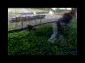 salto baltico 2