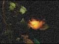 PONTIANAK \ pän-té- -näk[pɒntı'ɑːnæk]