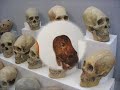 DESCUBRIMIENTOS IMPOSIBLES -- OOPARTS -- 3ª PARTE OOPARTS DE ESTE VIDEO: AVIONES EN LA ANTIGÜEDAD LA PIEDRA DEL MAPA DEL MUNDO MECANISMO DE ENGRANAJE FOSILIZADO EL MAPA DE PIRI REIS CALAVERAS EXTRAÑAS EL CALENDARIO AZTECA MONTAJE: ATLANTENACHELIII REALIZACIÓN: ATLANTENACHELIII CREACIÓN: ATLANTENACHELIII COLABORACIONES ESPECIALES PARA LA REALIZACIÓN DE ESTE VIDEO: ZONAGENTE CRÓNICA SUBTERRÁNEA FORMARSE LA MENTIRA ESTÁ AHI FUERA CLAUDIA-VELAZQUEZ-FERNANDEZ MEXICO TENOCH FUENTES REALIZACIÓN VIDEO: www.zonagente.com cronicasubterranea.blogspot.com.es www.formarse.com.ar www.lamentiraestaahifuera.com claudia-velazquez-fernandez.suite101.net www.mexico-tenoch.com MIS SITIOS: PÁGINA WEB: RED ATLANTENACHEL atlantenachel.jimdo.com BLOG PRINCIPAL: AMANECER DE UNA NUEVA CIVILIZACIÓN atlante-nachel-iii.blog.com.es CANAL: CANAL ATLANTENACHELIII www.youtube.com OTROS BLOGS: granamanecerdeunanuevaciviliza... http grandesseriestv.blog.com.es canal-local-atlante.blog.com.es turistas.blog.com.es nuevacorriente.blog.com.es seguridad-atlante-nachel-iii.b... http atlante-nachel-iii45.blog.com.es atlante-nachel-iii64.blog.com.es