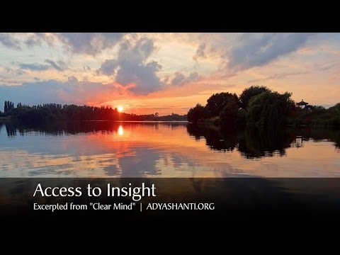 Adyashanti Video: Insightful Intelligence Is Not From the Thinking Mind