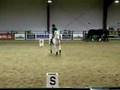 Dressage with no bridle