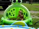 Adrianne and her froggy pool