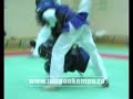 Nippon  Kempo traini
