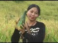 KACHIN SONGS { PYILANG DUM CHYAI GA }