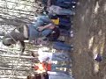Escuadron Klonday [en campa]  Pelea de coalas en parejas